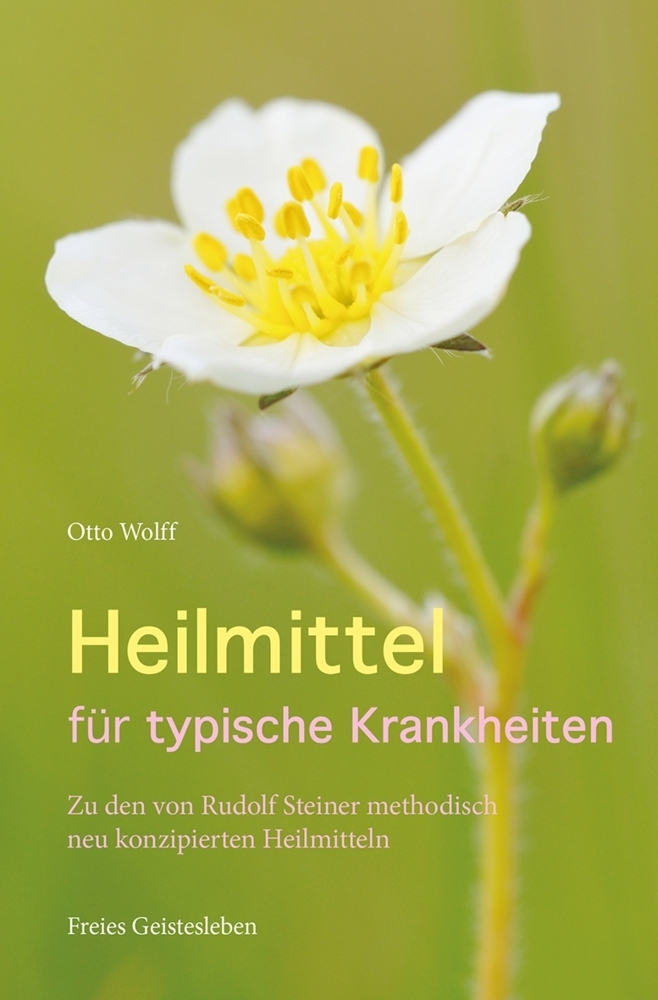 Heilmittel für typische Krankheiten | Otto Wolff | 2013 | deutsch - Freies Geistesleben