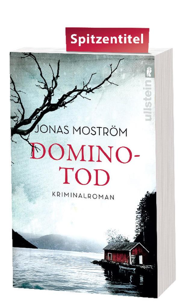 Dominotod | Jonas Moström | 2017 | deutsch | Dominodöden - Bild 5 von 6